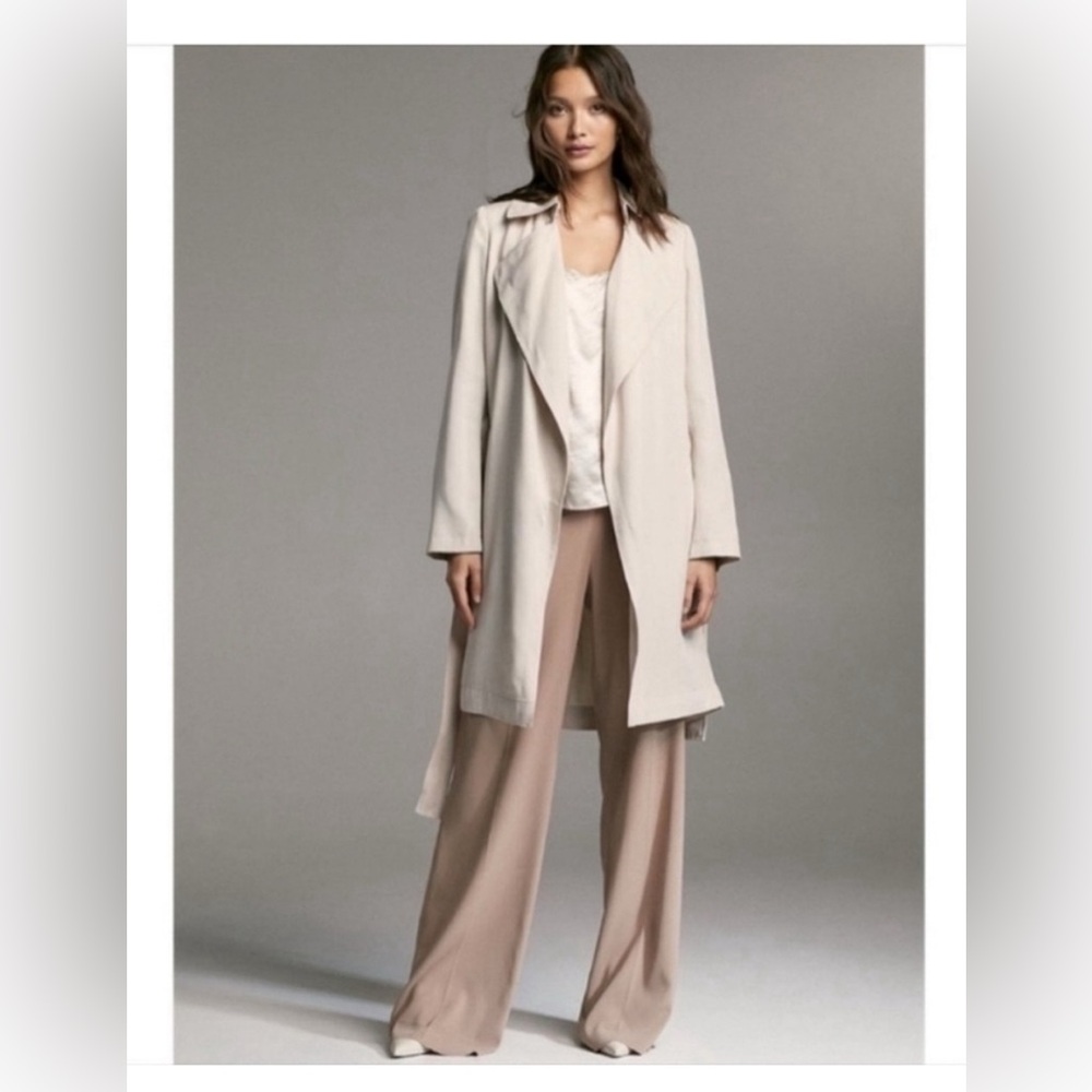 NWT Aritzia Babaton Maximo Trench XS